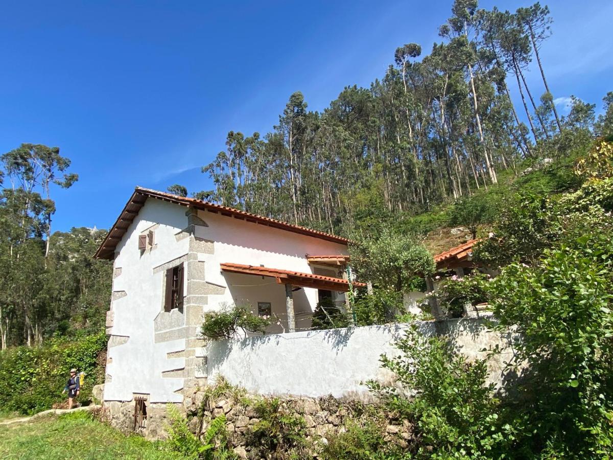 Villa Casa Da Azenha Branca à Castelo Do Neiva Extérieur photo