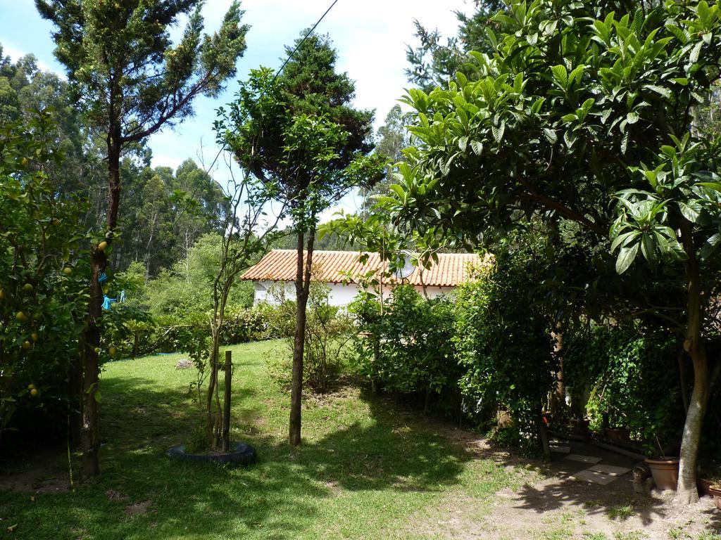 Villa Casa Da Azenha Branca à Castelo Do Neiva Extérieur photo